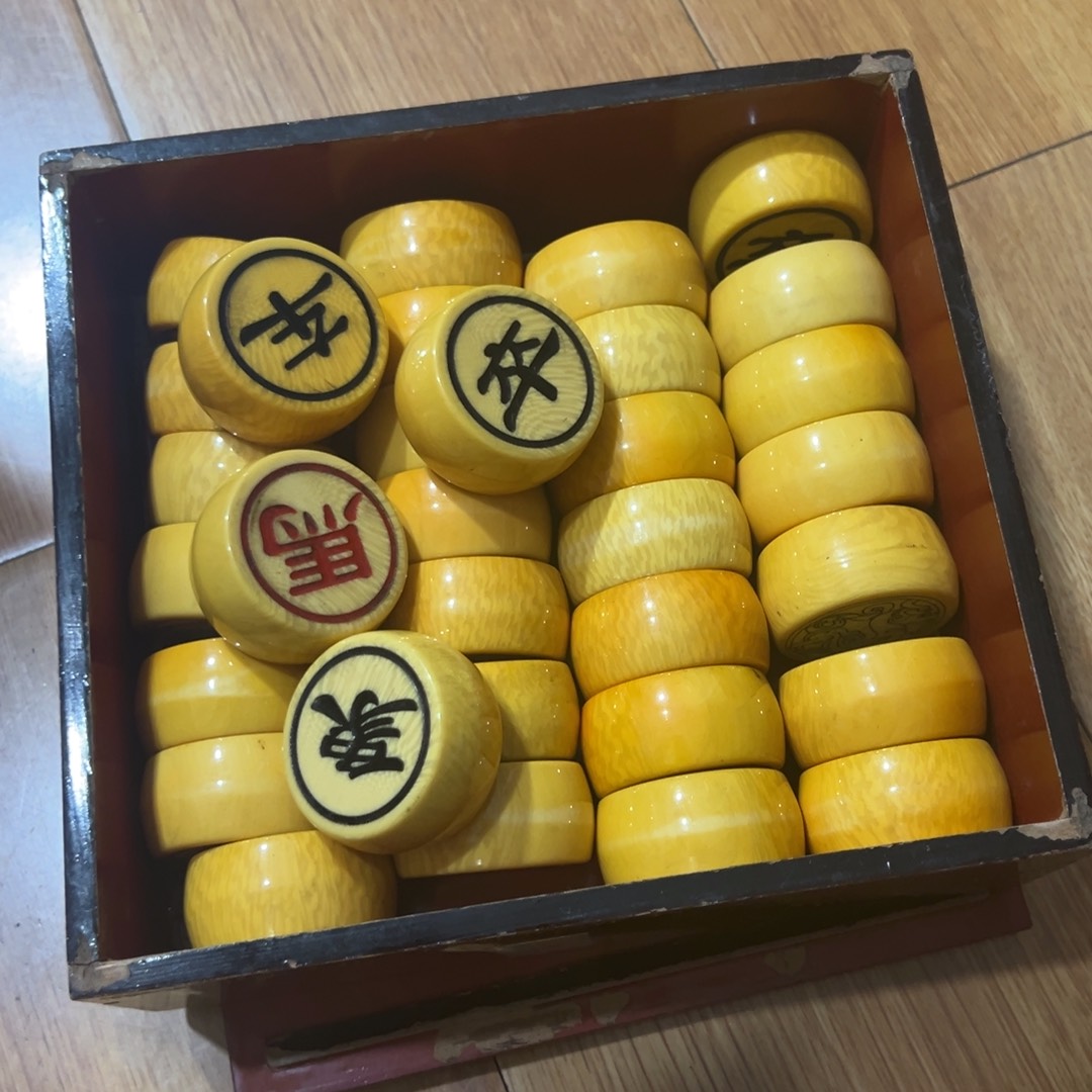 贝壳手串/手链好看的小杯杯杯杯杯