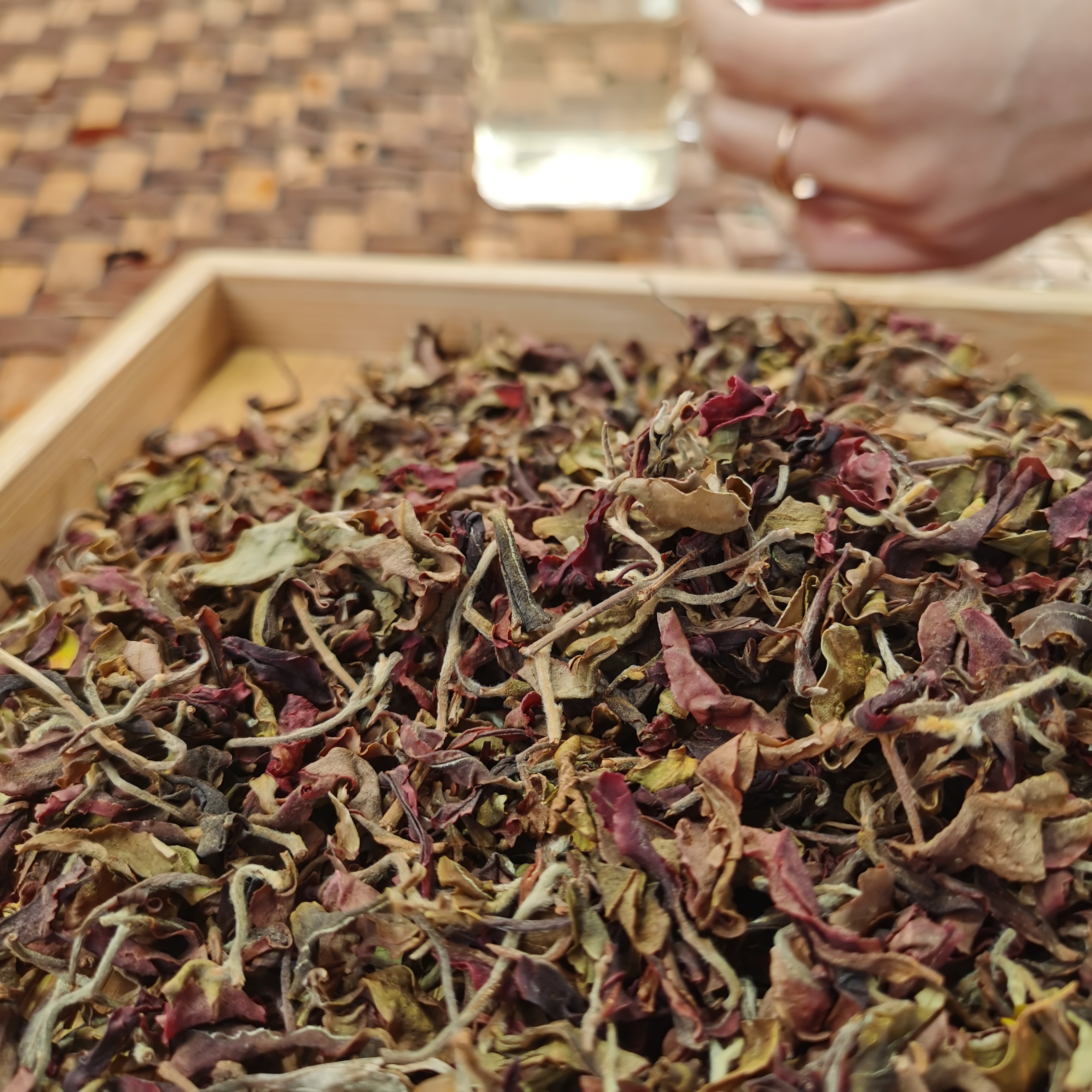 2024年大雪山胭脂小种白散茶（250g）1月16【36号】