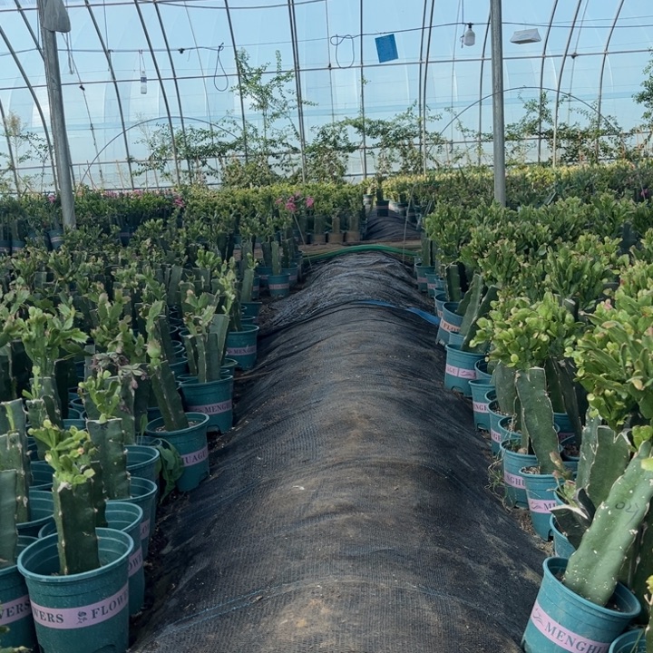 超***越10号052百000008888888888