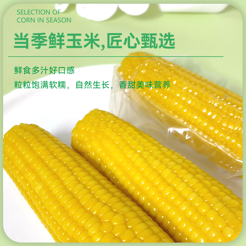 D新疆糯玉米全疆包邮新疆维吾尔自治区