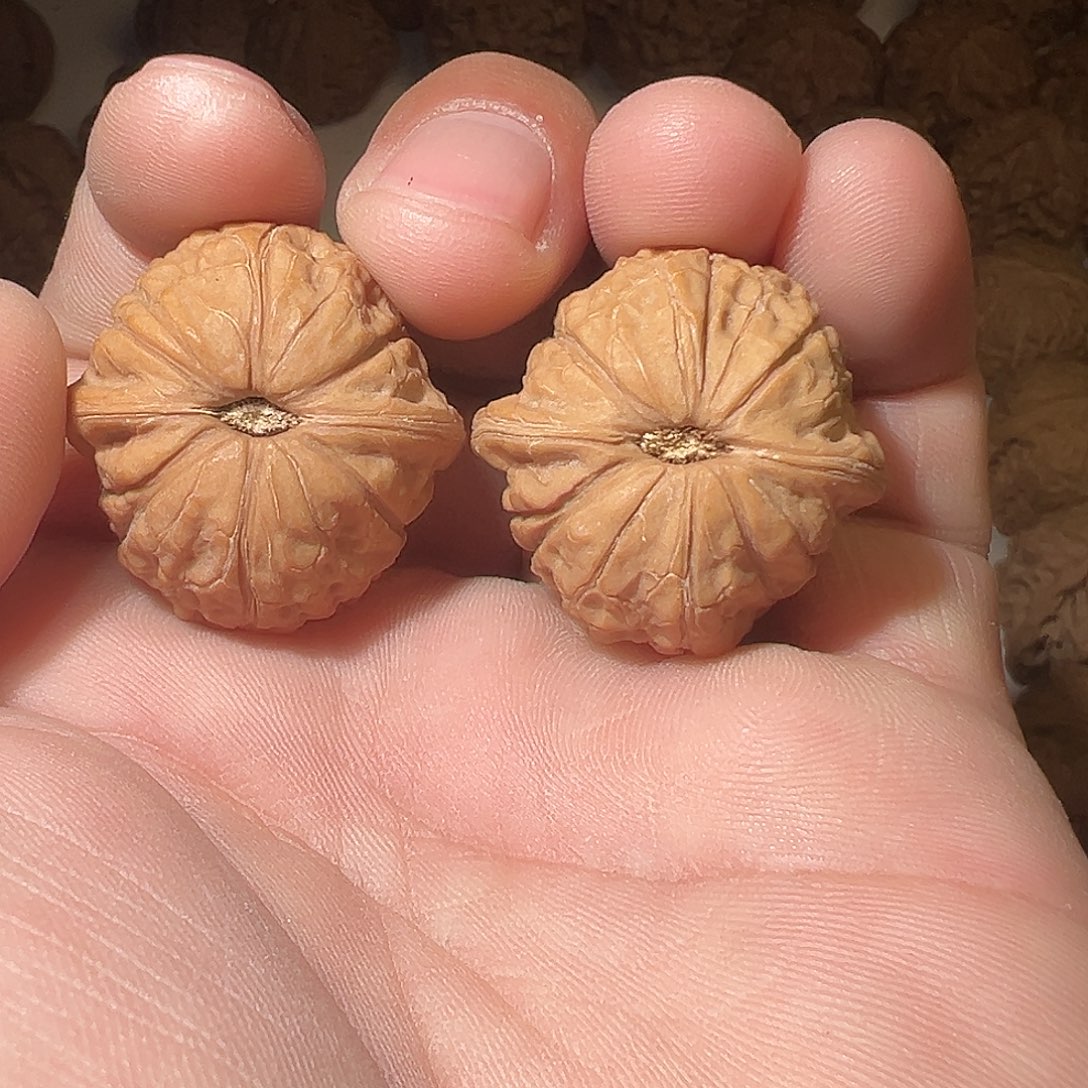 苦***瓜吊坠猴头核桃玩文