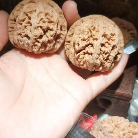 猴头核桃吊坠48粗筋