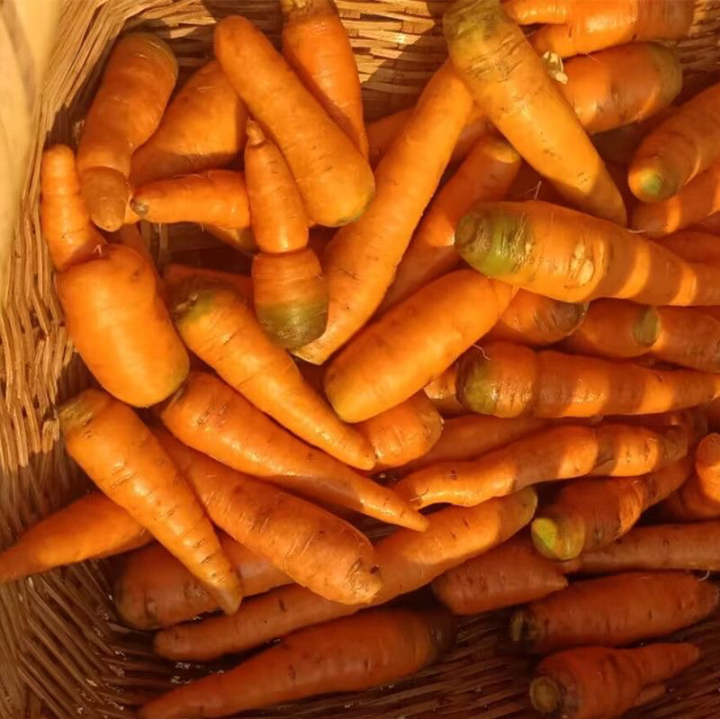 湖南新鲜小胡萝卜农家本地有机肥自种露天蔬菜樱桃水果手指红萝卜