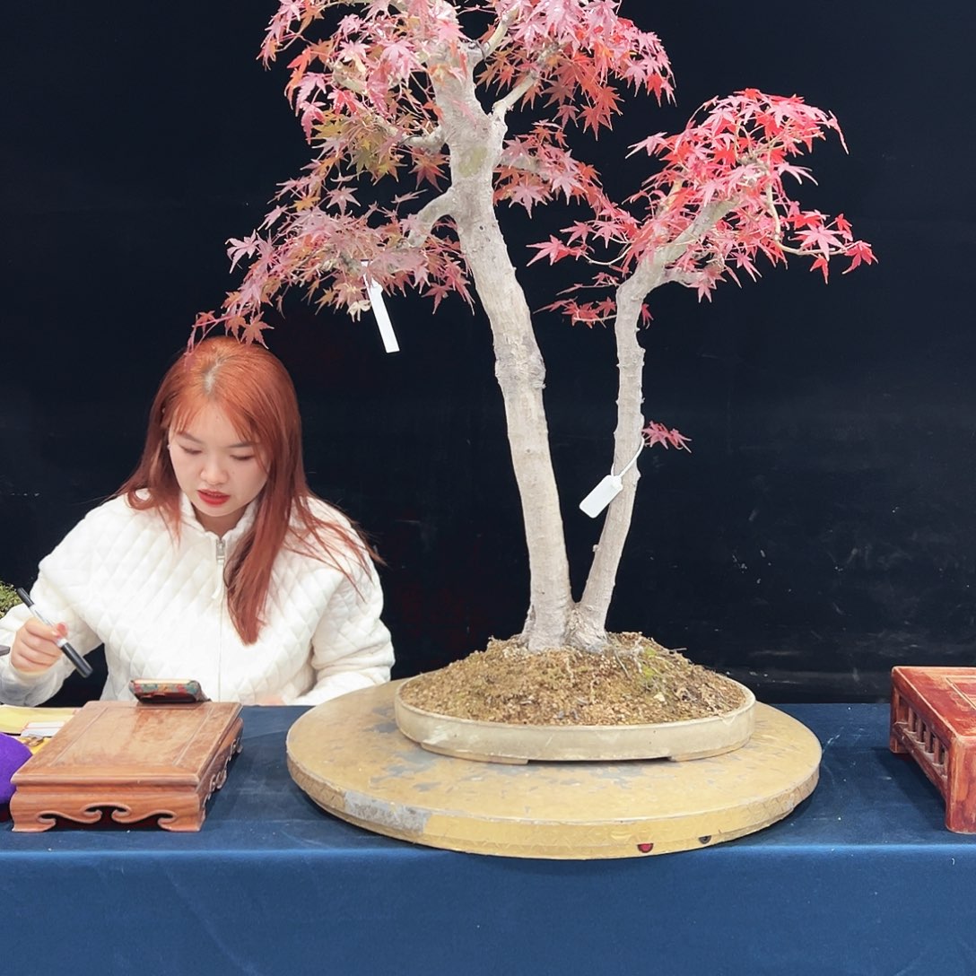 云***瑞完全开放杜鹃花的诗作是