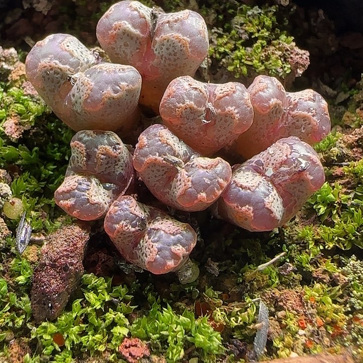 *****哈哈哈哈哈哈哈407