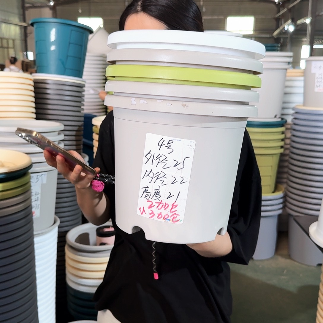 微瑕4#无拖果绿5个