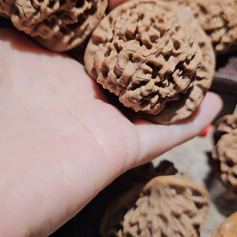 文玩核桃吊坠48龙鼎管