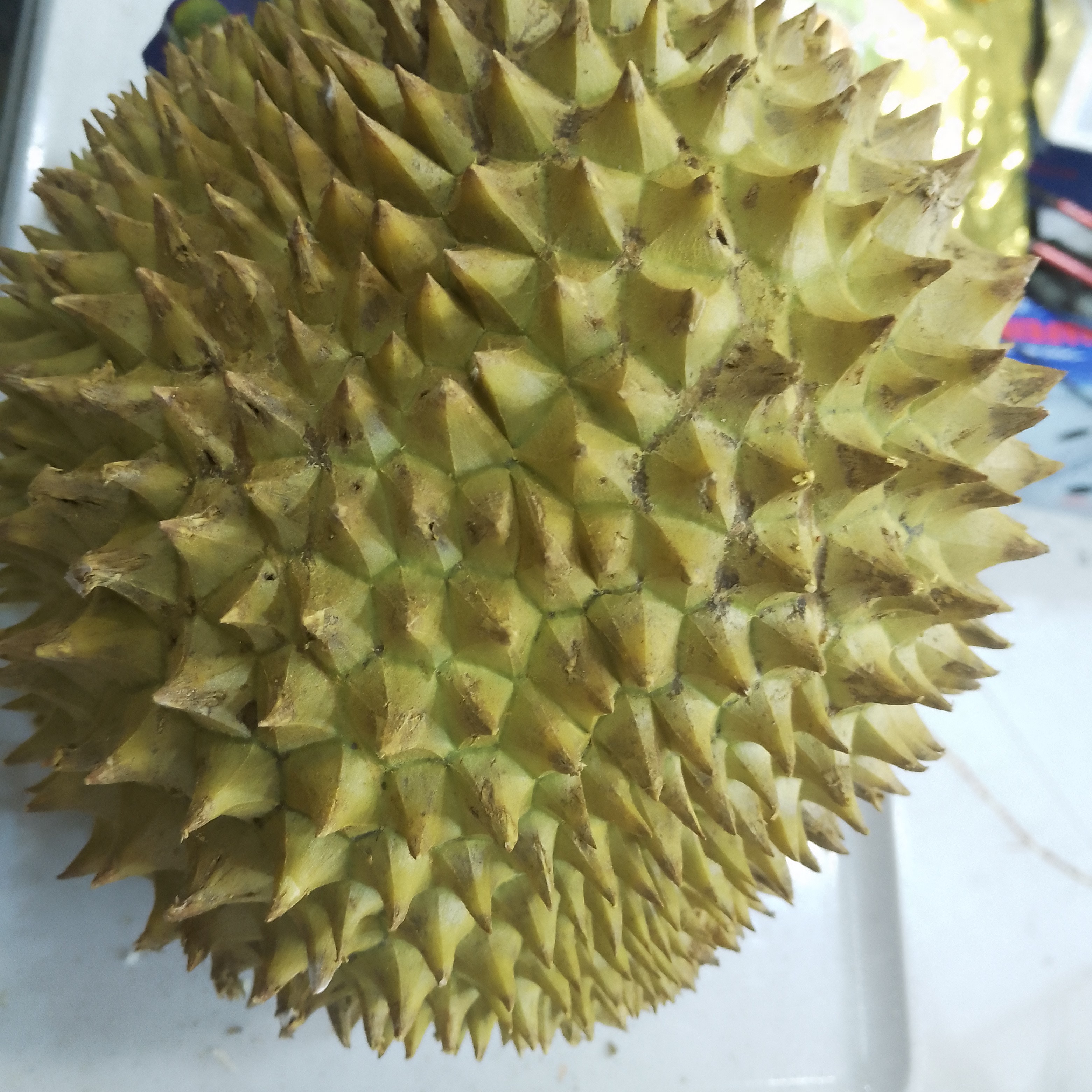泰国鲜榴莲托曼尼3到3.5斤核大香甜糯猫山王口感榴莲同城送金枕越南