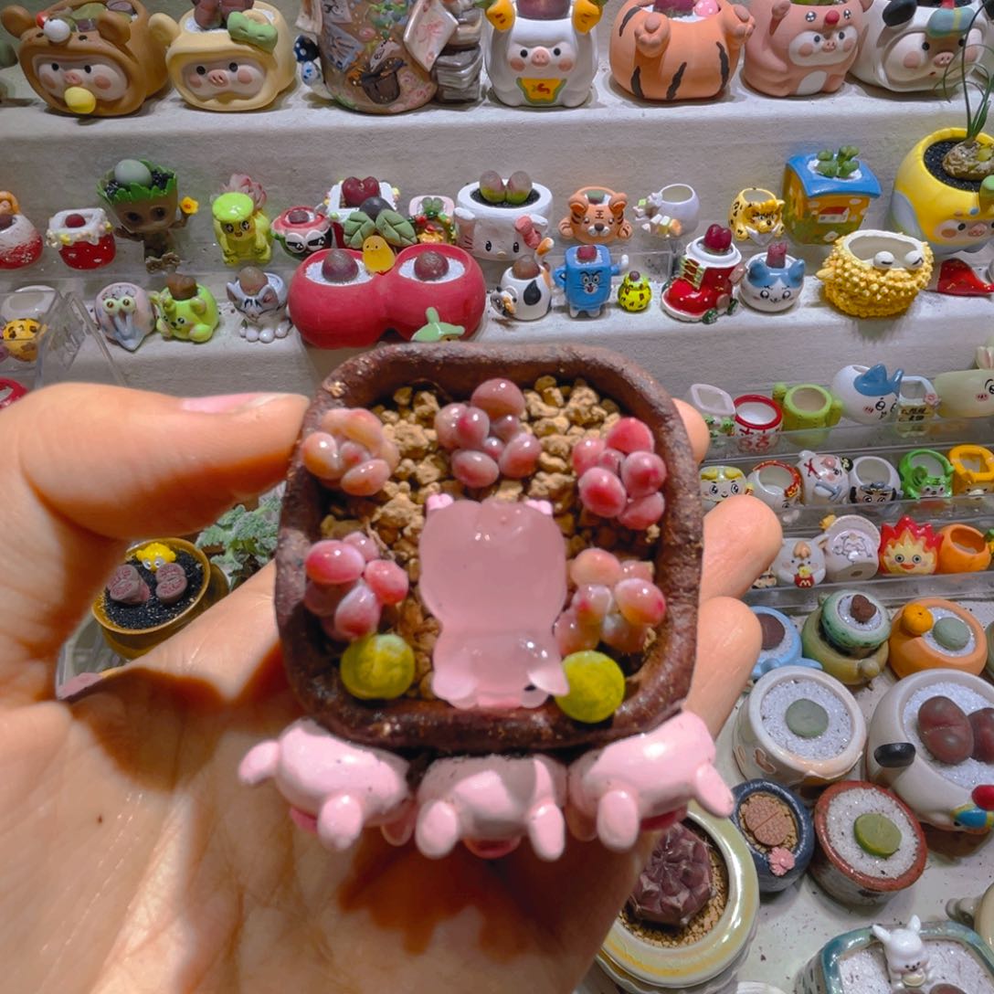 丹**意丹宝专属补拍肉肉链接拍拍