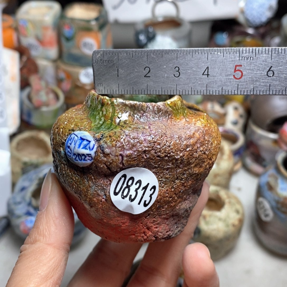 花盆拍3送一个小礼物