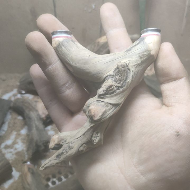 柏木（崖柏）小****料崖柏随型弓