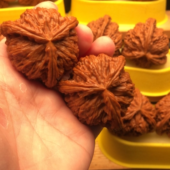 将***酒核桃核桃核桃核桃核桃