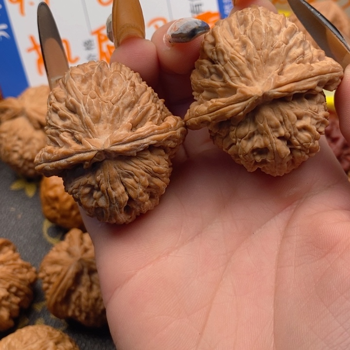 可*,白狮子全品41尺寸文玩核桃