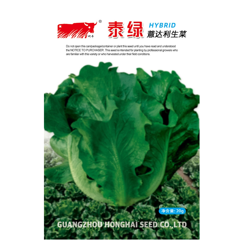 泰绿生菜种子（净含量：20克）