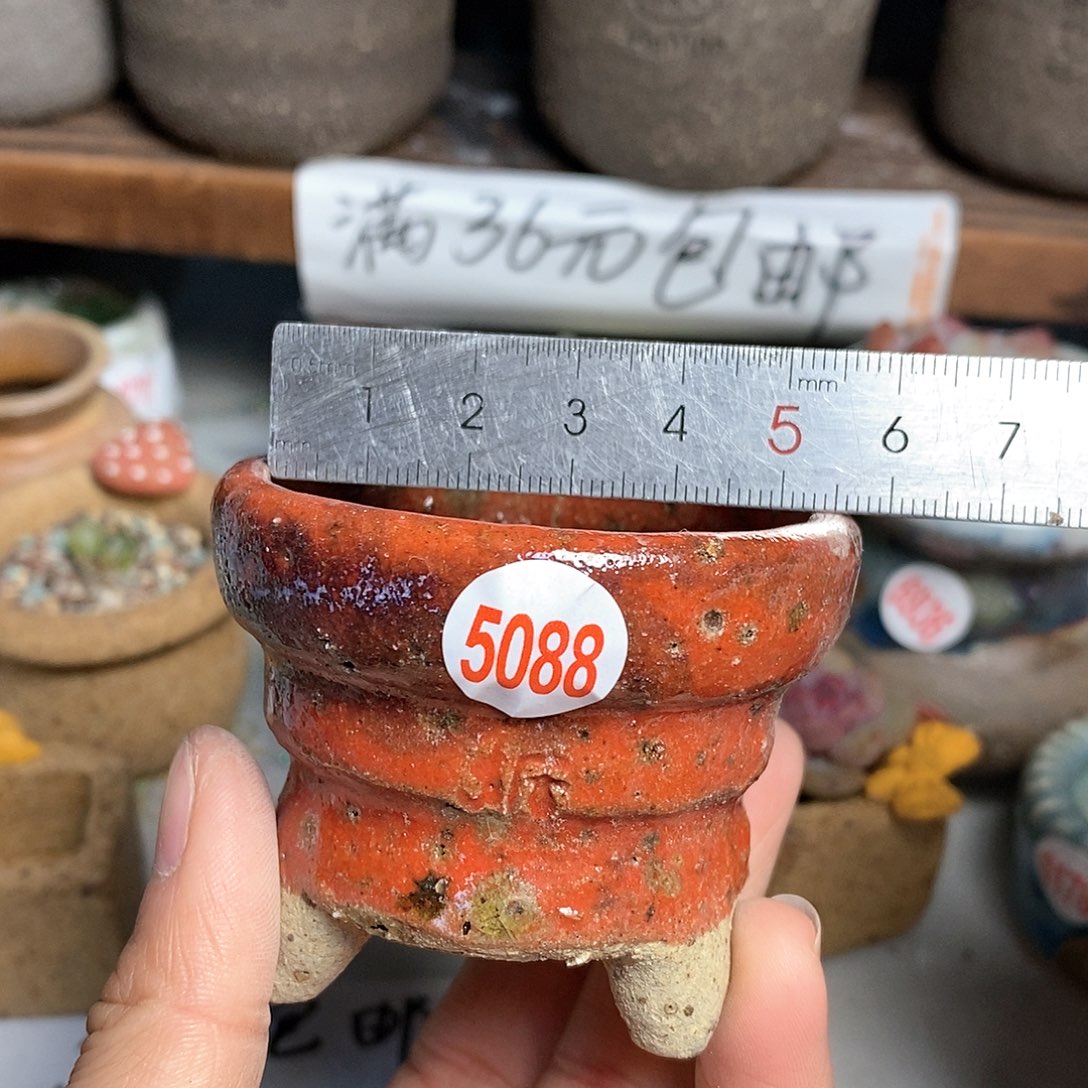 红陶拍5送一个小