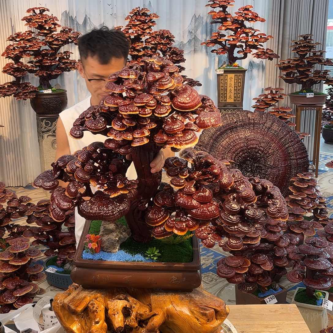 无花朵88888888888888