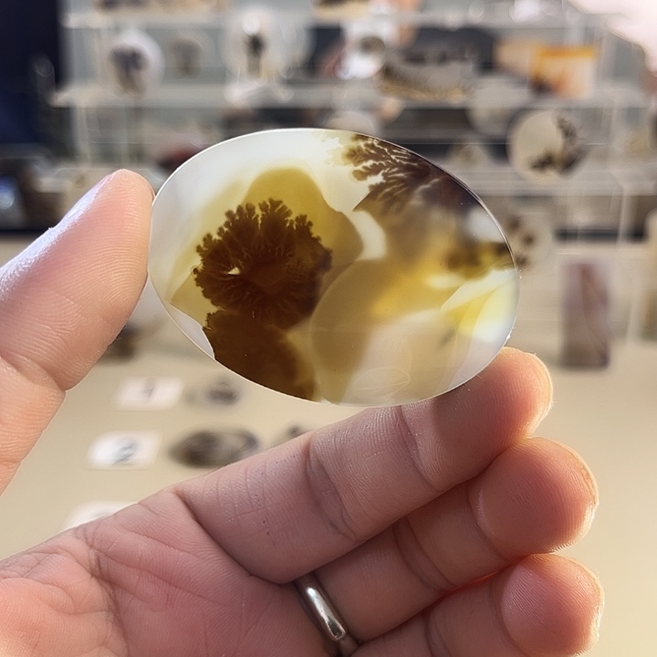 玛瑙/玉髓吊坠(不含链)未镶嵌