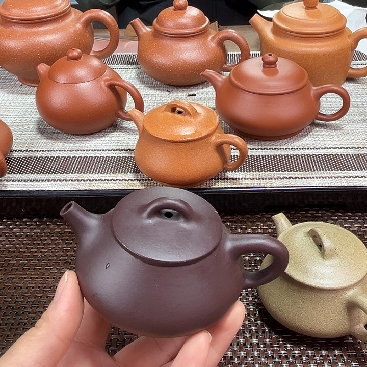 魏****茶壶紫砂孤品浮力120毫