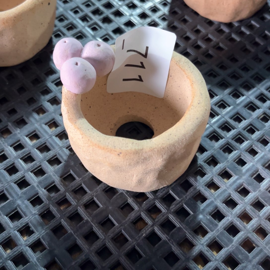 红陶711花盆  1个