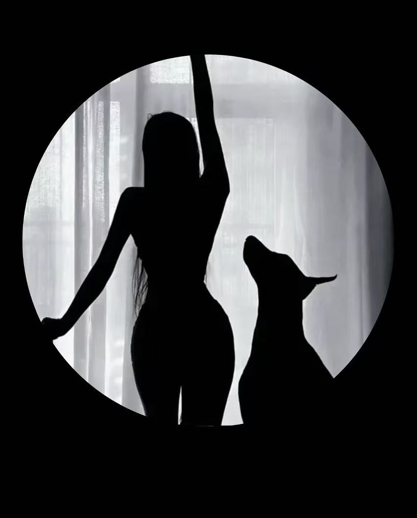 【bv1966】夏季重磅圆领短袖纯棉男士半袖T恤88075