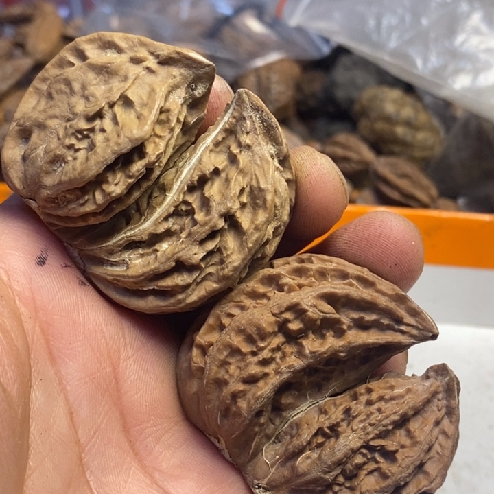 ****多吊坠文玩核桃东北特产44