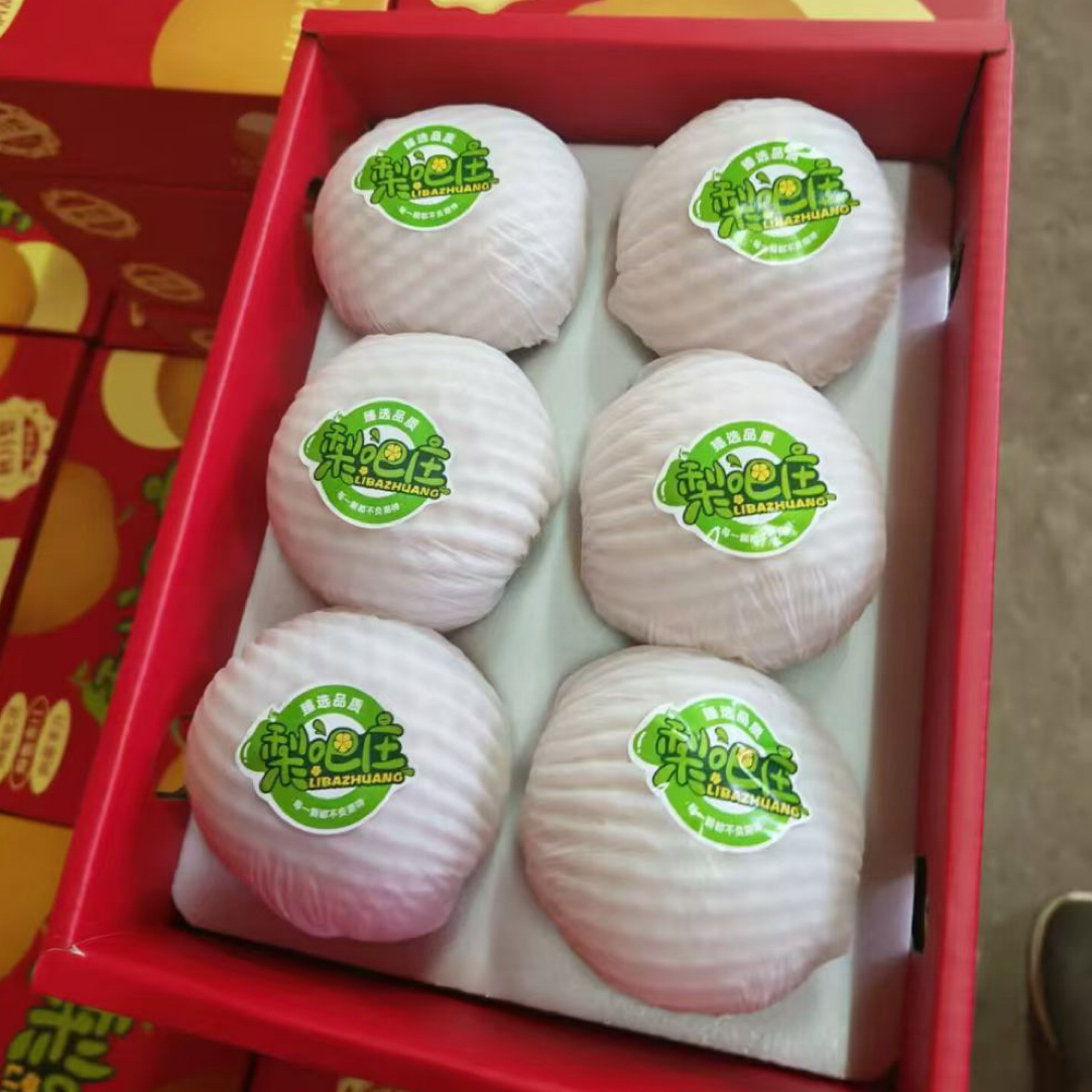 山东莱阳正宗脆甜新鲜应季现摘现发秋月梨水果净重4斤