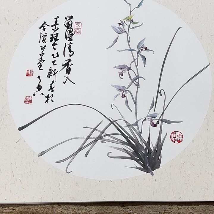 国画花鸟的翅膀和翅膀都被50.50