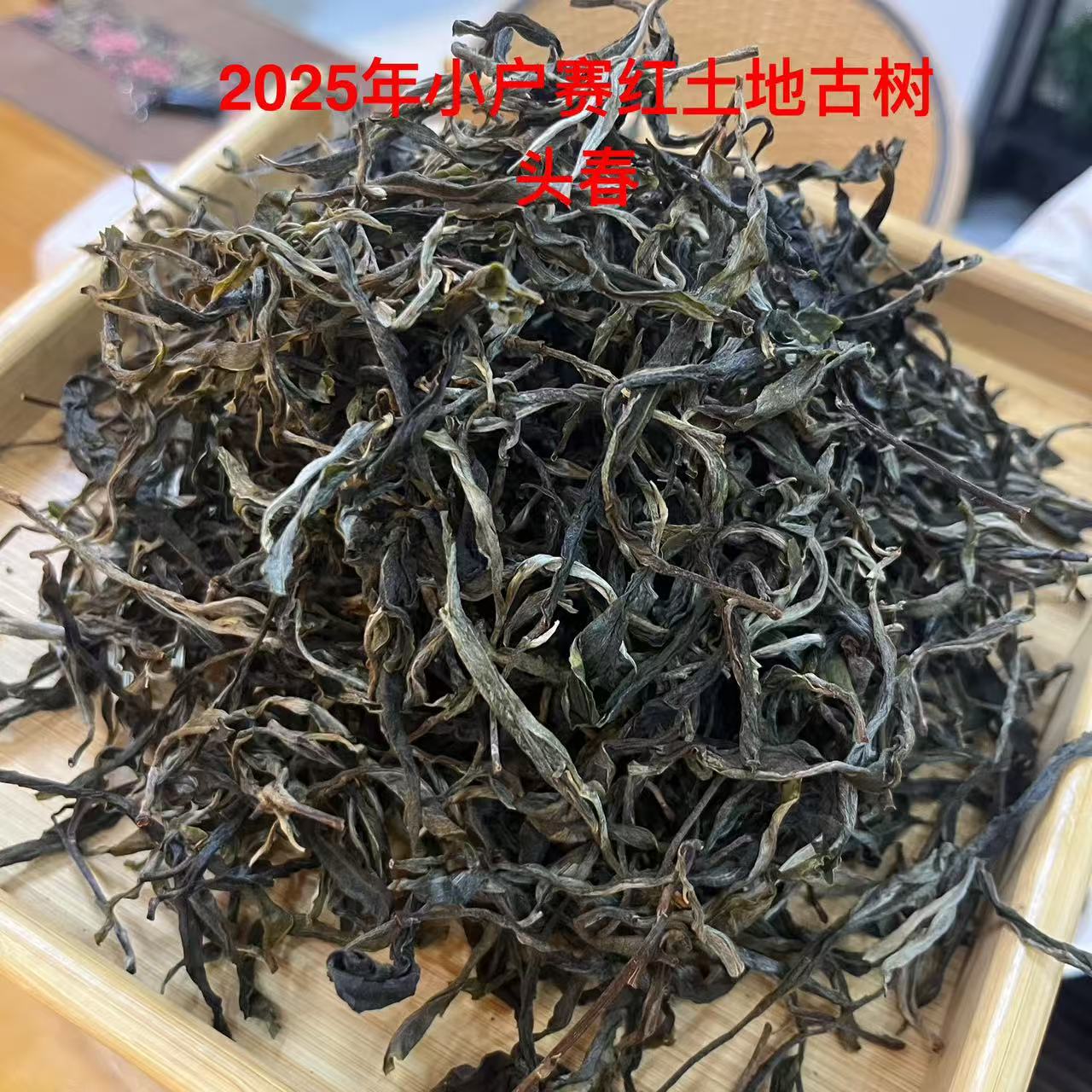 【溯源～正品小户赛16 号】2025年春-小户赛红土地古树生散茶