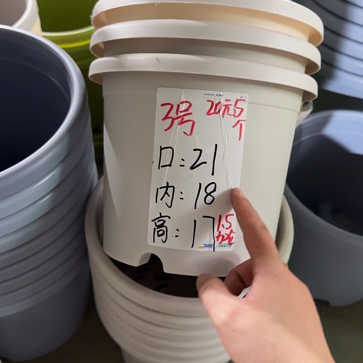 微瑕3#灰白10个无托