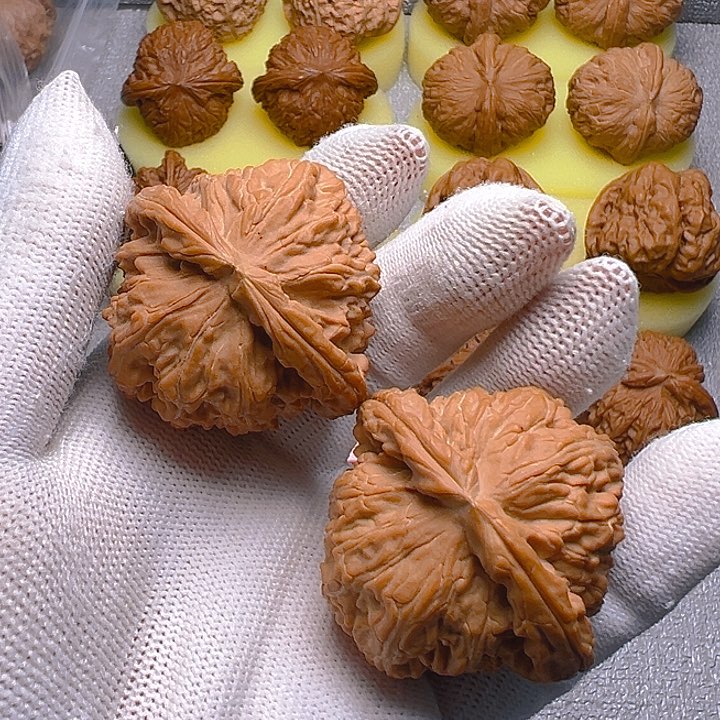 大叶紫檀（黑酸枝木类）幼****人白狮子