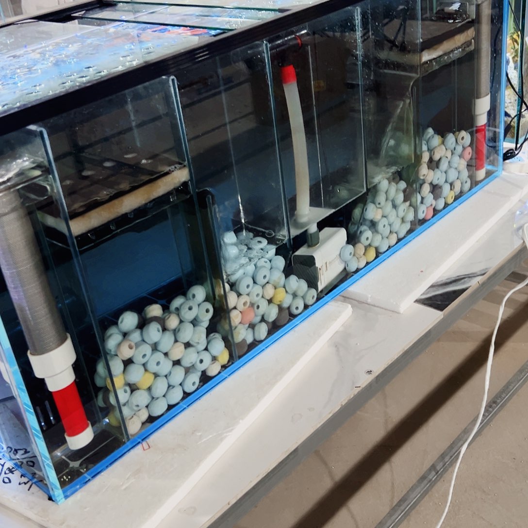 知***恩玻璃1.55050背双鱼马桶玻璃盖全套