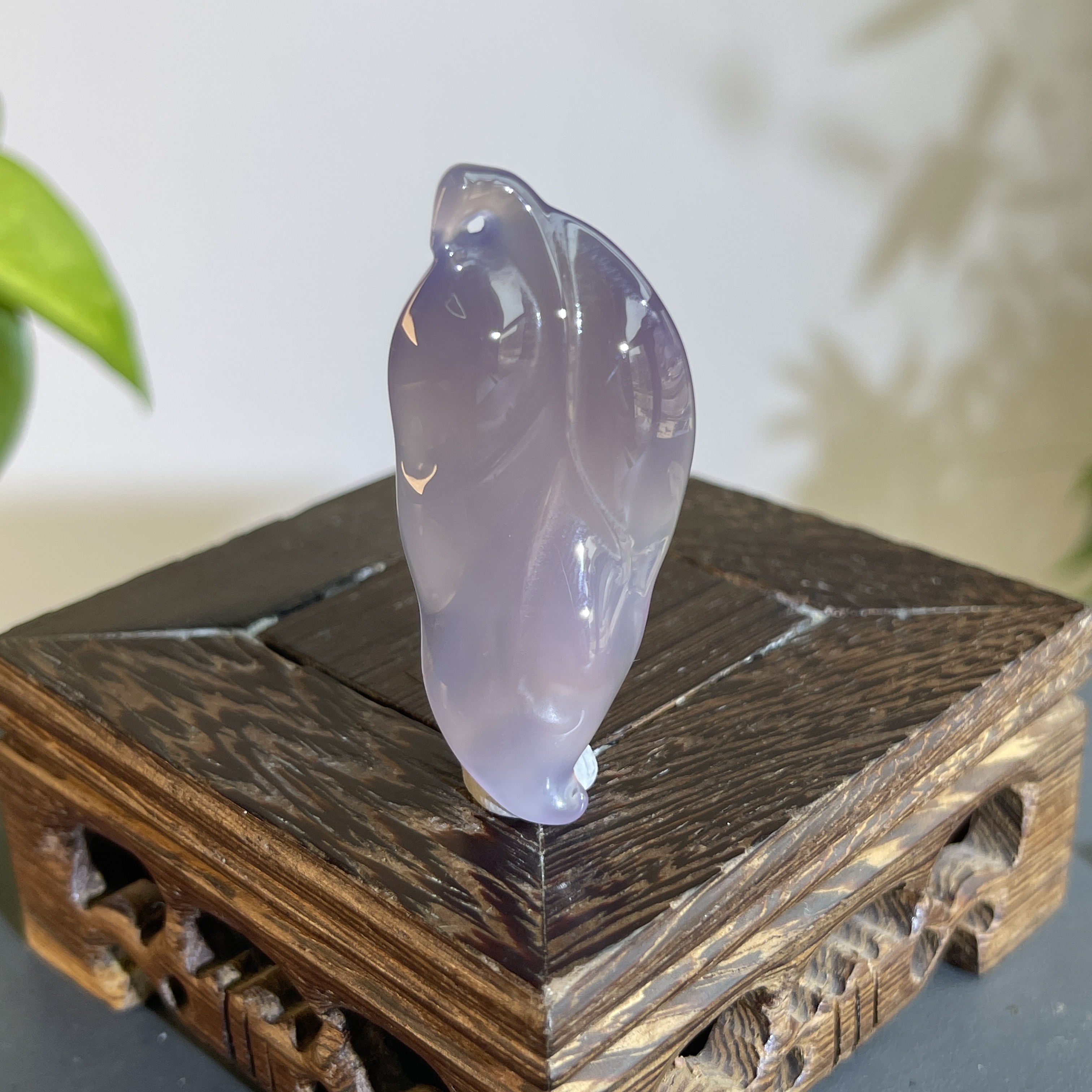 JTA14-31   阿拉善-大业有成