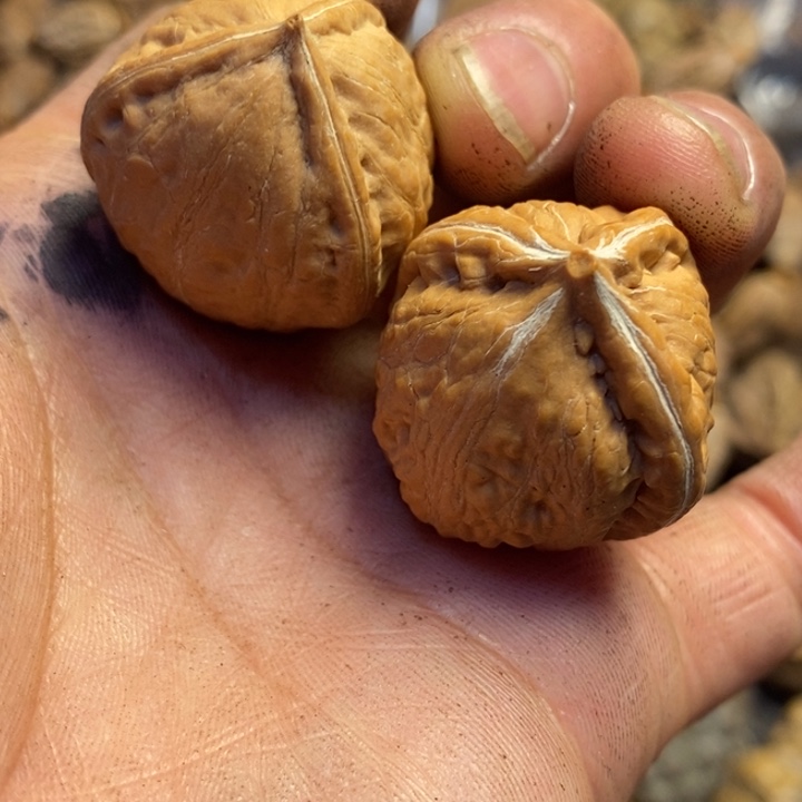 秘***包文玩核桃吊坠东北特产251