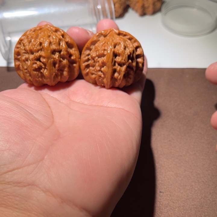 玮***r精品白狮子43尺寸