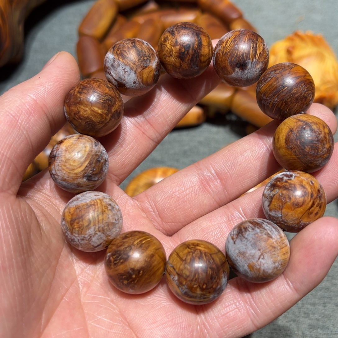 太行崖柏陈化太行