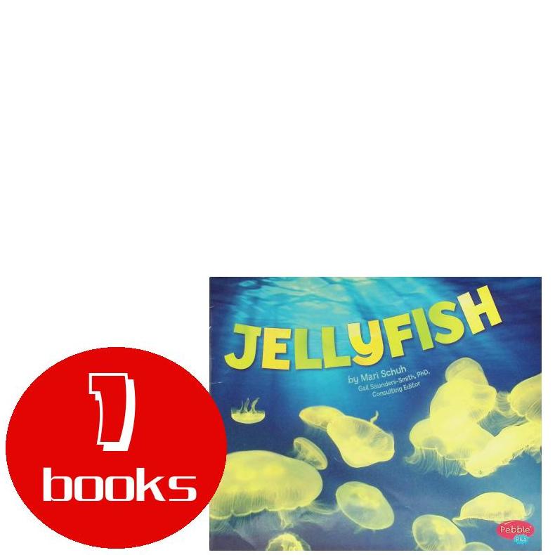 英文原版绘本1本93250728106