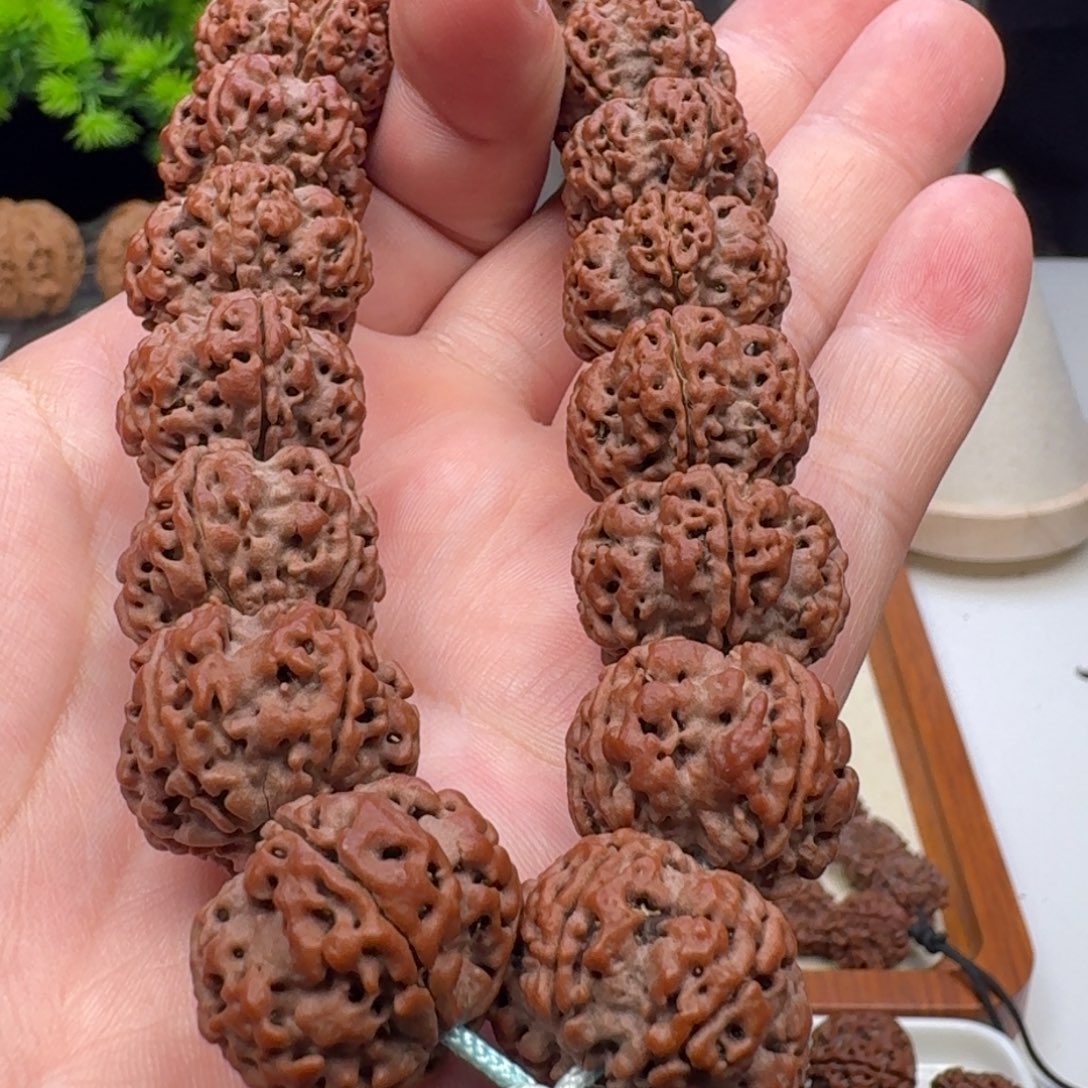 金刚菩提手串梅花
