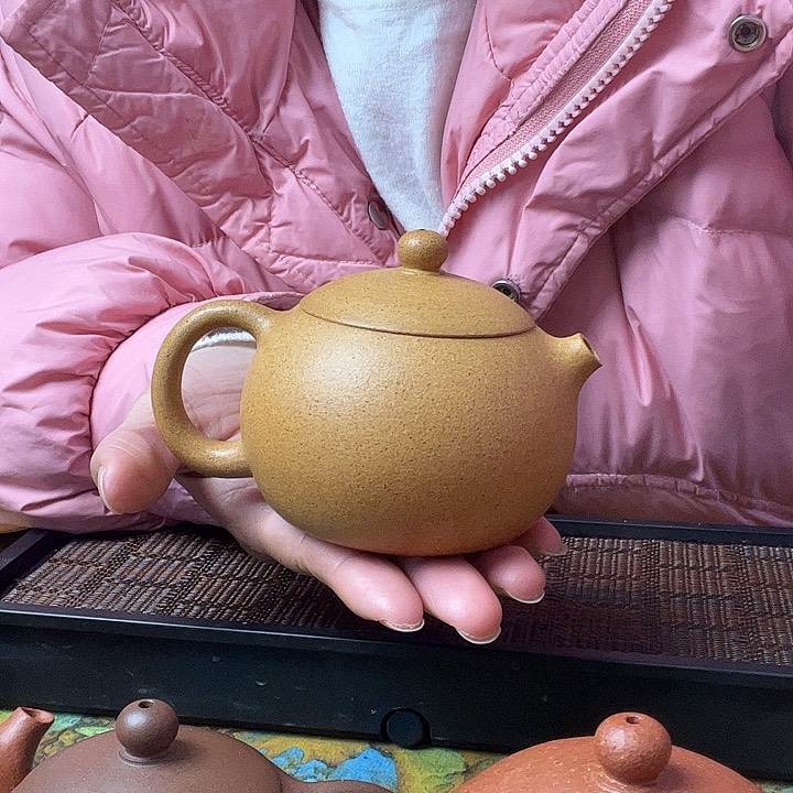 紫砂茶壶紫砂壶泡茶