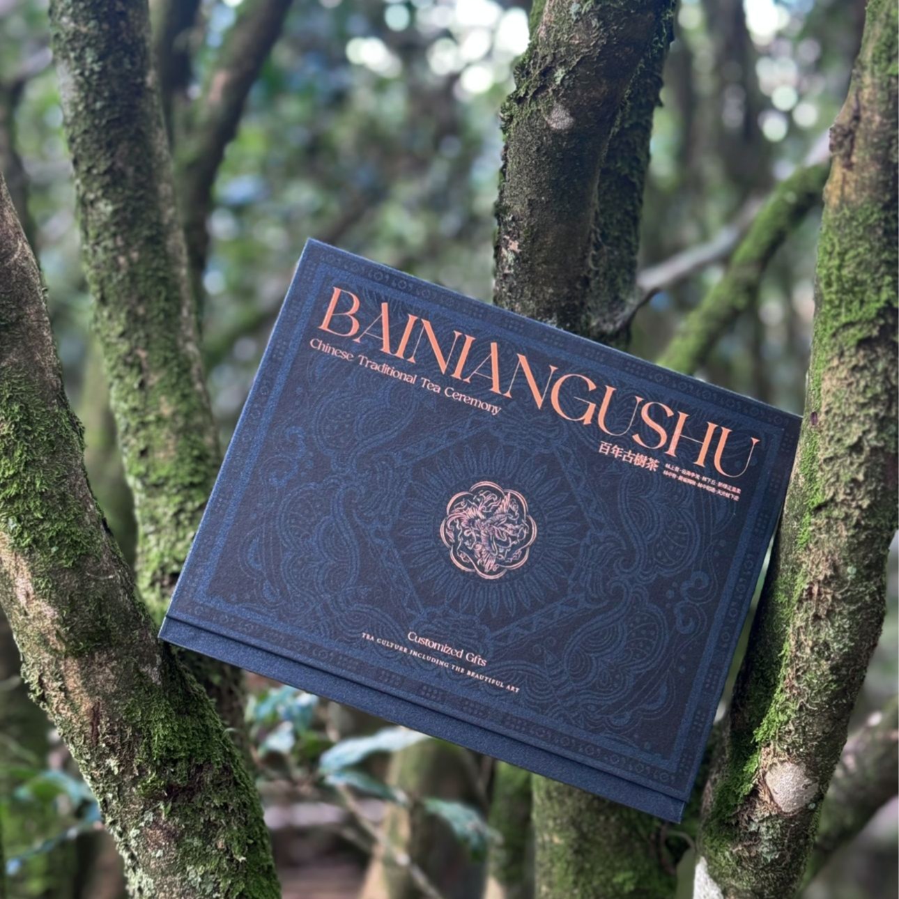 【庵龙古树带古树牌可溯源】凤凰单枞茶回甘炭焙