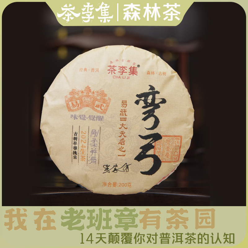 【茶李集】2020年弯弓古树纯料生茶200g/饼 拍5发6