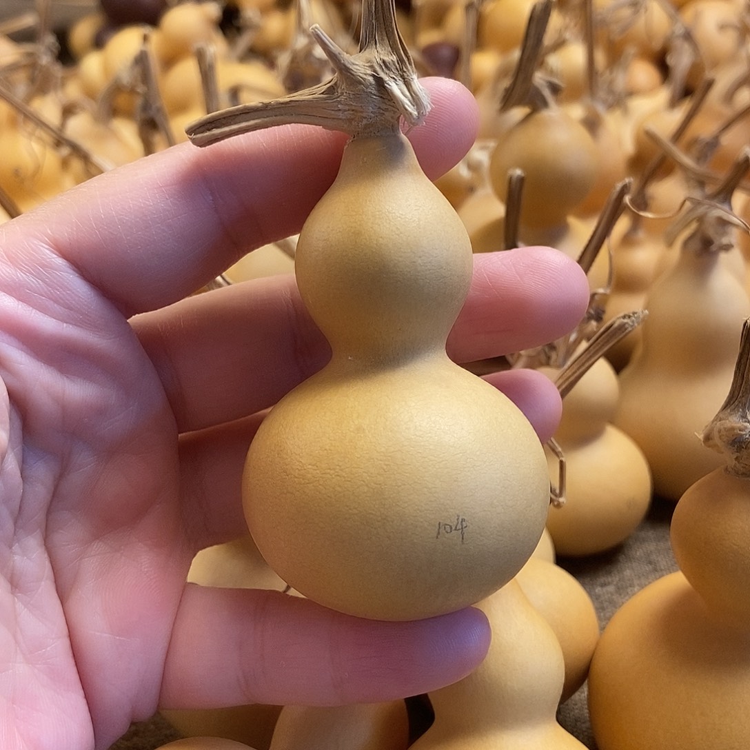 文玩葫芦 完美主义者 慎拍104