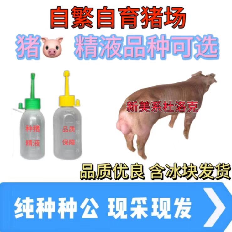 杜洛克种公精液一件包邮包对版生态养殖猪用耗材