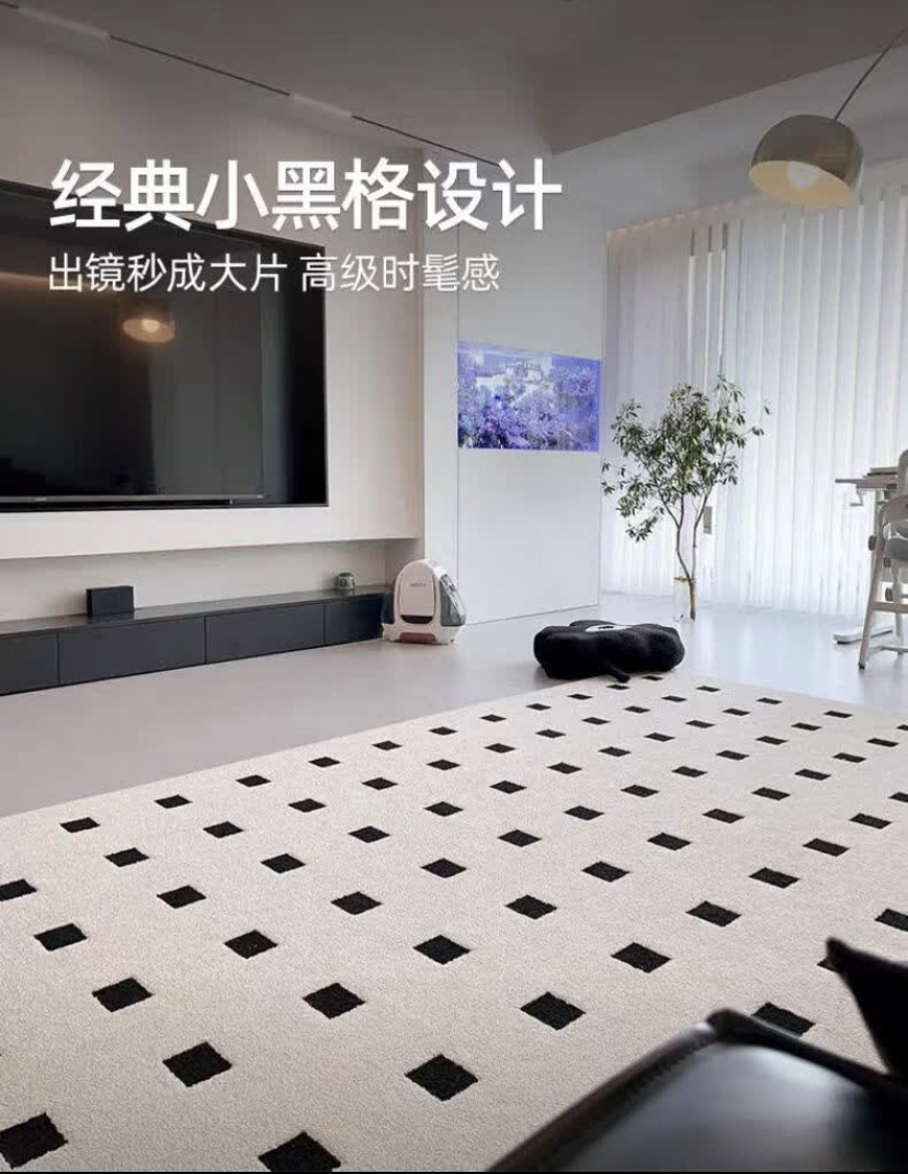 云朵纤维高级硅藻丝轻奢大面积客厅耐脏免洗家用卧室床边毯地毯