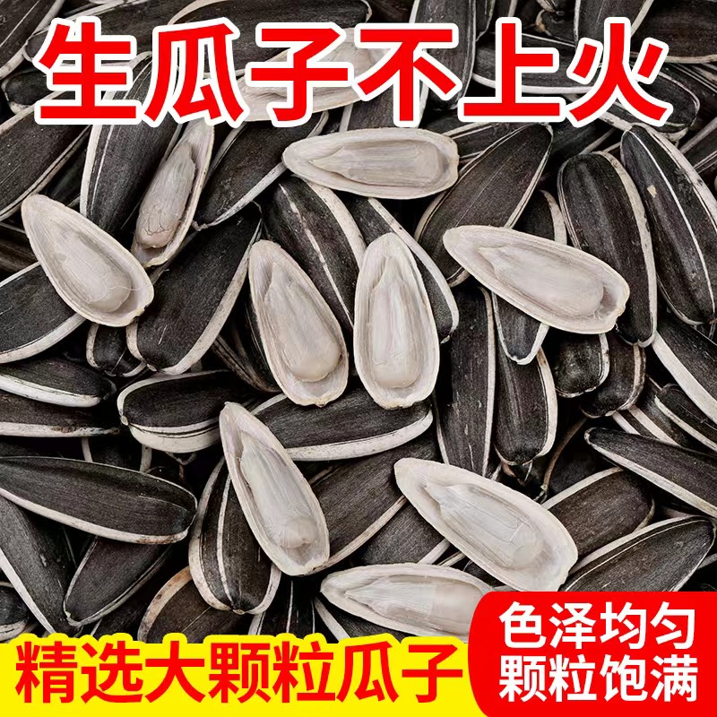 2025新货生瓜子葵花籽大颗粒2/3斤原味薄皮酥脆生葵花子向日葵