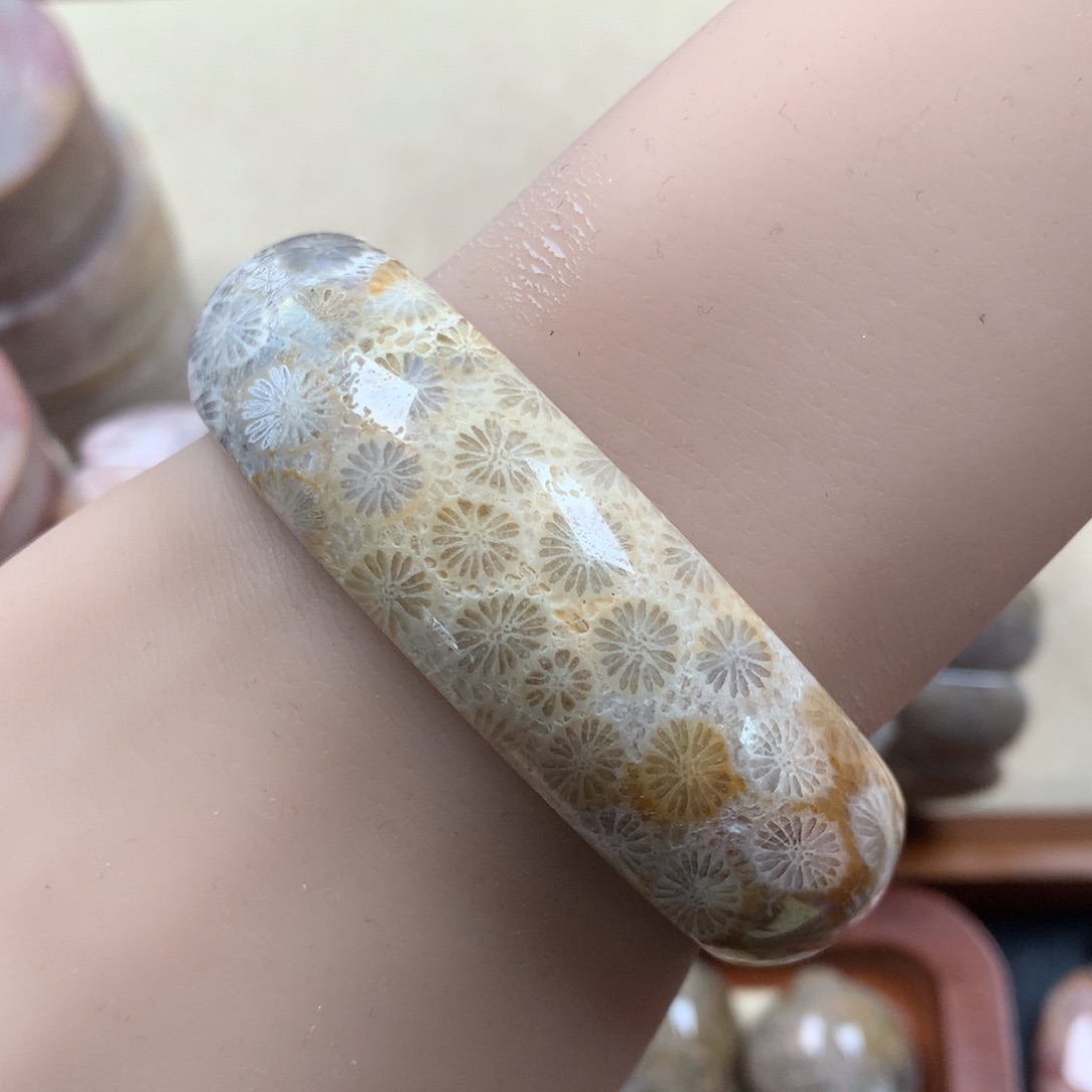 未镶嵌骨骼料55圈漏200/个。11硅化珊瑚（珊瑚玉）