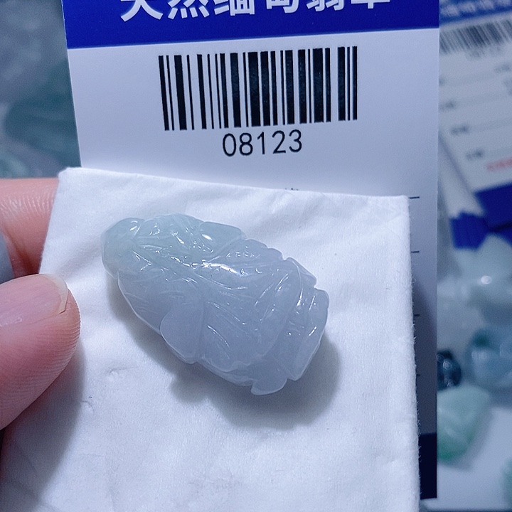 翡翠未镶嵌颈饰天光墟翡翠市场现金代购