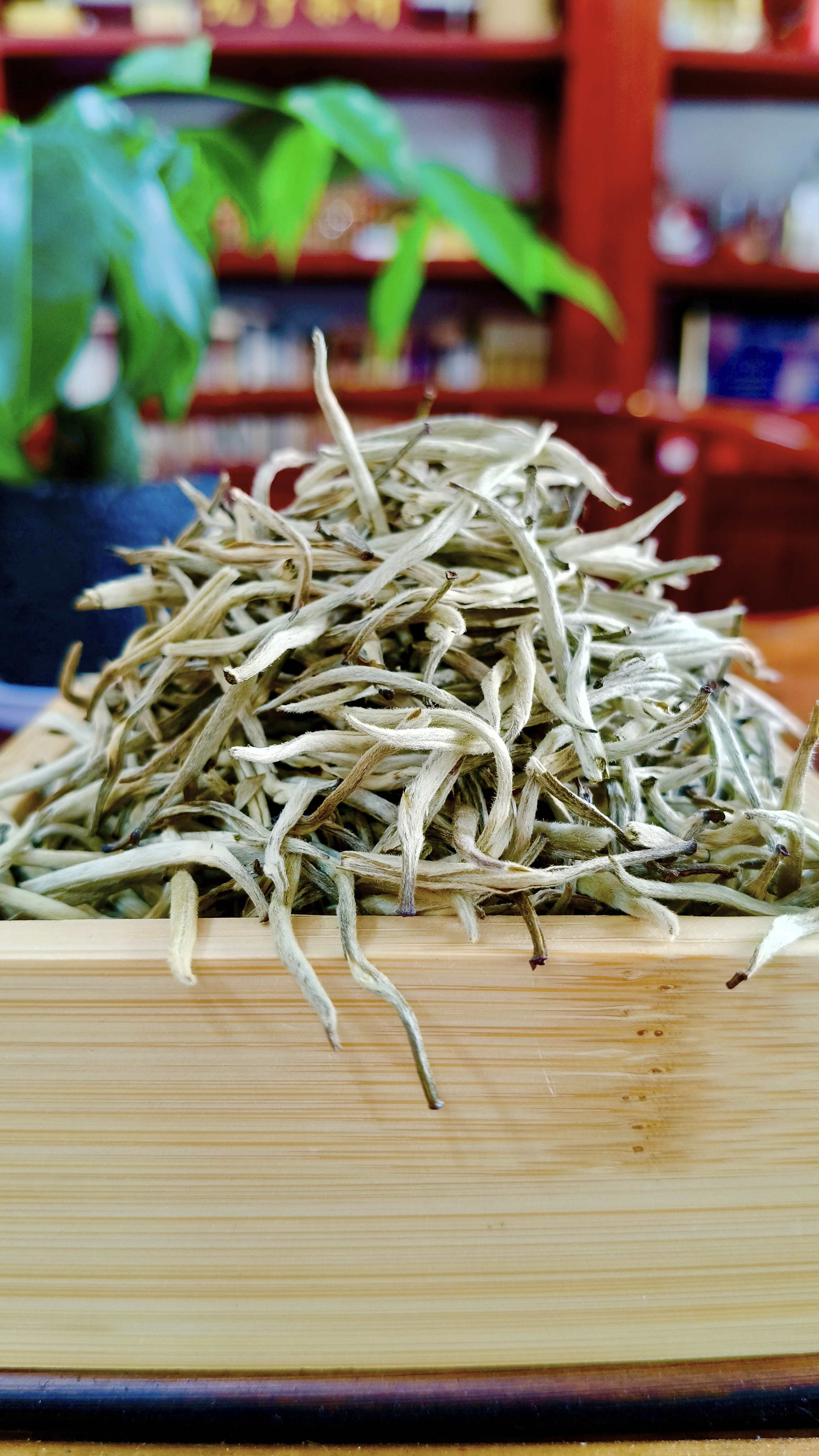 【茉莉香妃】茉莉花茶2025新茶茶叶清香50克散称袋装