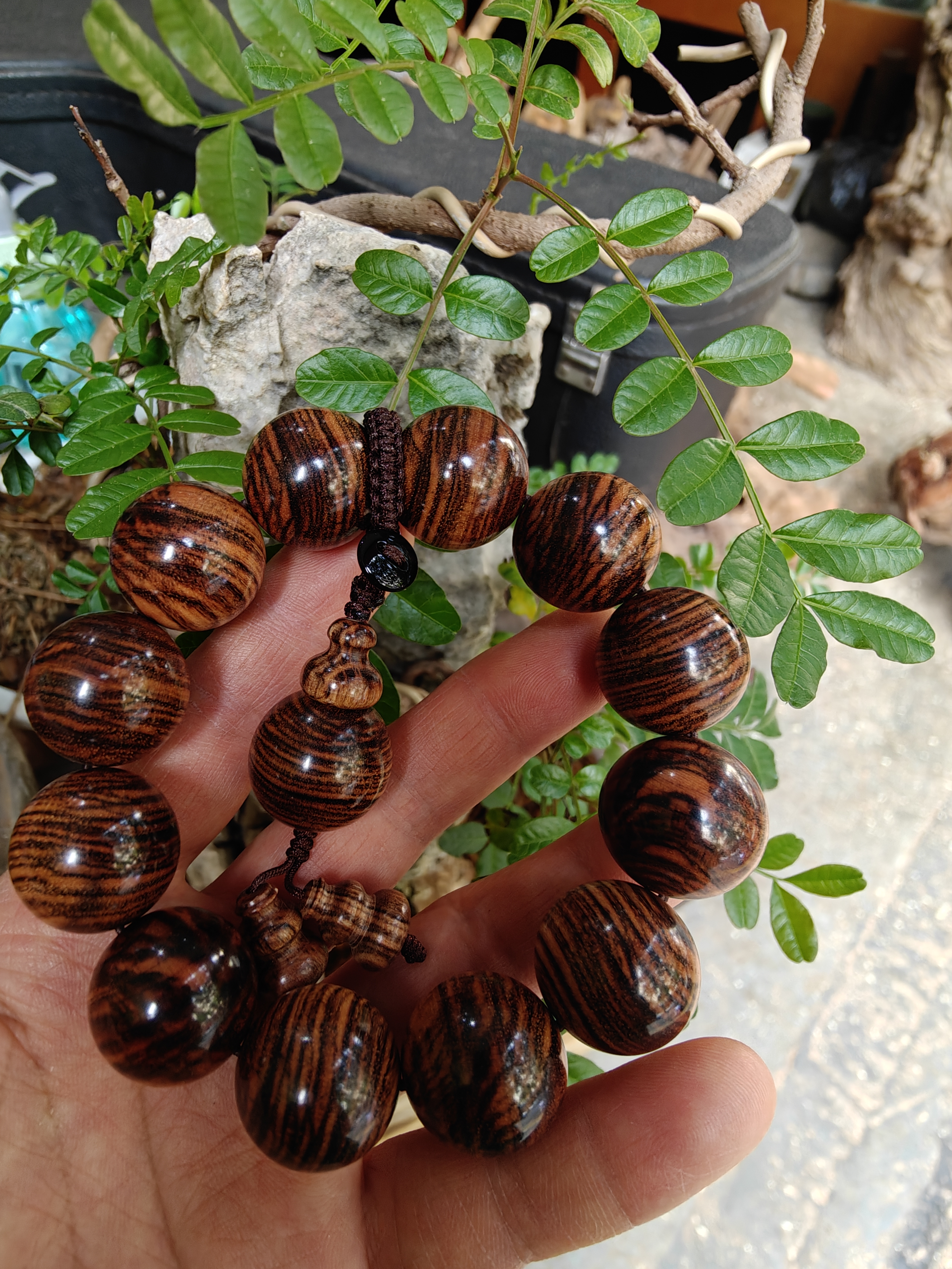 贵黄，清香木陈化老料2.0珠