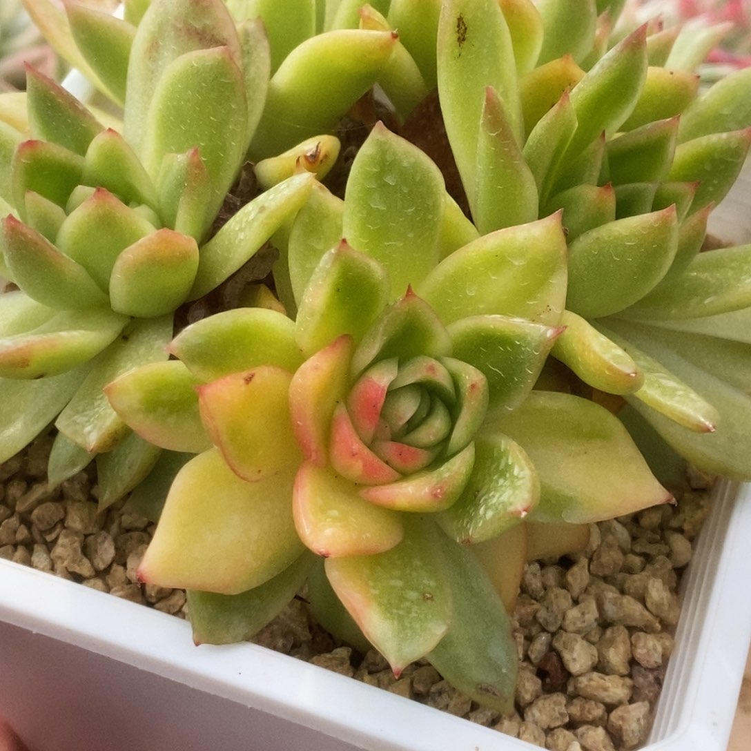 181南塔锦锦锦锦锦锦锦