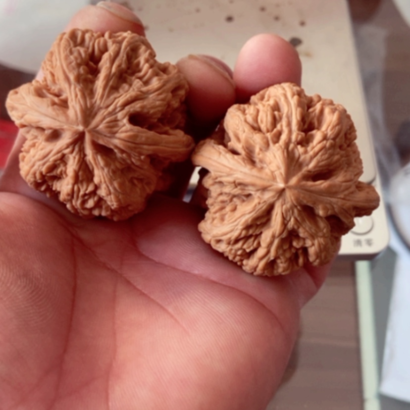 【闪购商品】天**寒46尺寸全品无修大粗筋